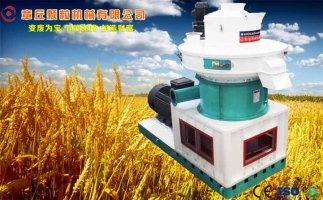 中國創新提速，綠色經濟之離心高效環模顆粒機