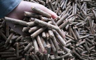 鋸末顆粒機顆粒，一種快速增長的能源載體