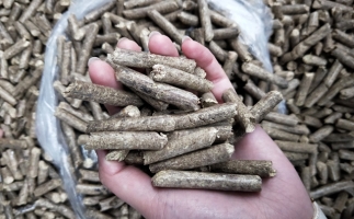 鋸末顆粒機木屑顆粒燃料市場前景如何？