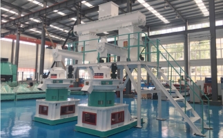 木屑顆粒機多少錢一臺?建顆粒廠大約多少錢？