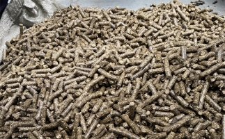 為什么很多人想了解木屑顆粒機加工的燃料顆粒作用？
