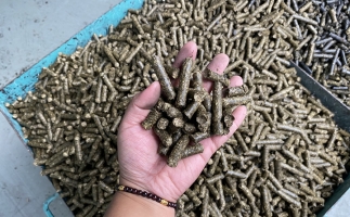 貴州省習水縣桃林鎮：燃料化利用，讓秸稈變廢為寶
